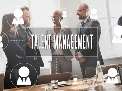 Talent Management Consultants